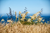 Kaikoura, New Zealand