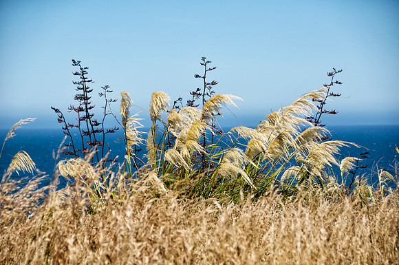 Kaikoura, New Zealand