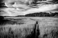 New England